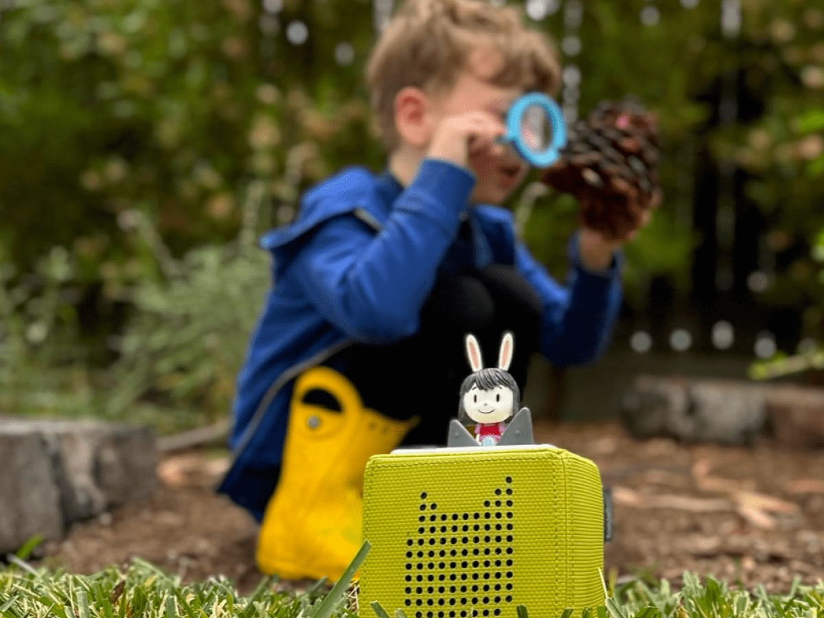 Elinor Wonders Why Tonie