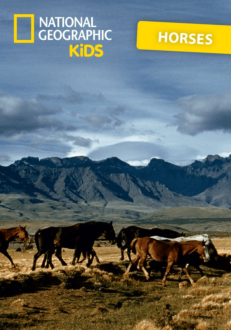 National Geographic Kids: Horse Tonie