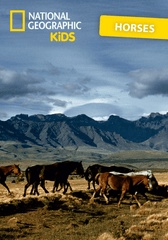 National Geographic Kids: Horse Tonie