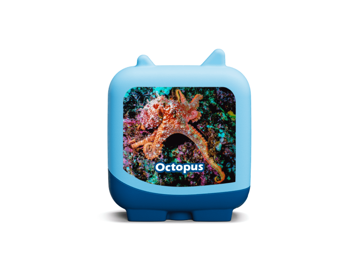 Marine Life Clever Tonies - 4 Pack