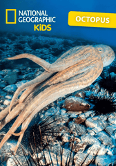 National Geographic Kids: Octopus Tonie