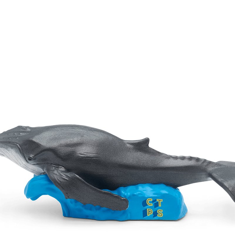 National Geographic Kids: Whale Tonie