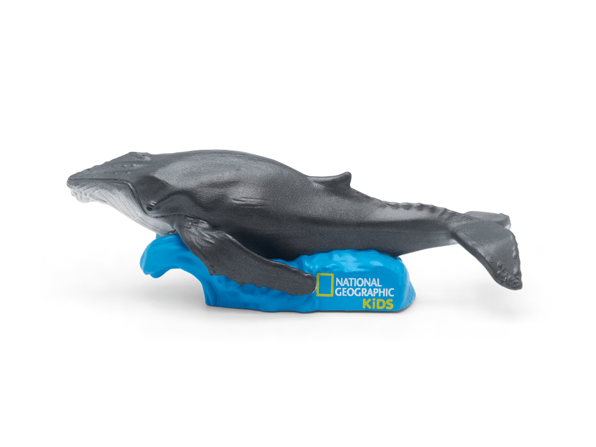 National Geographic Kids: Whale Tonie