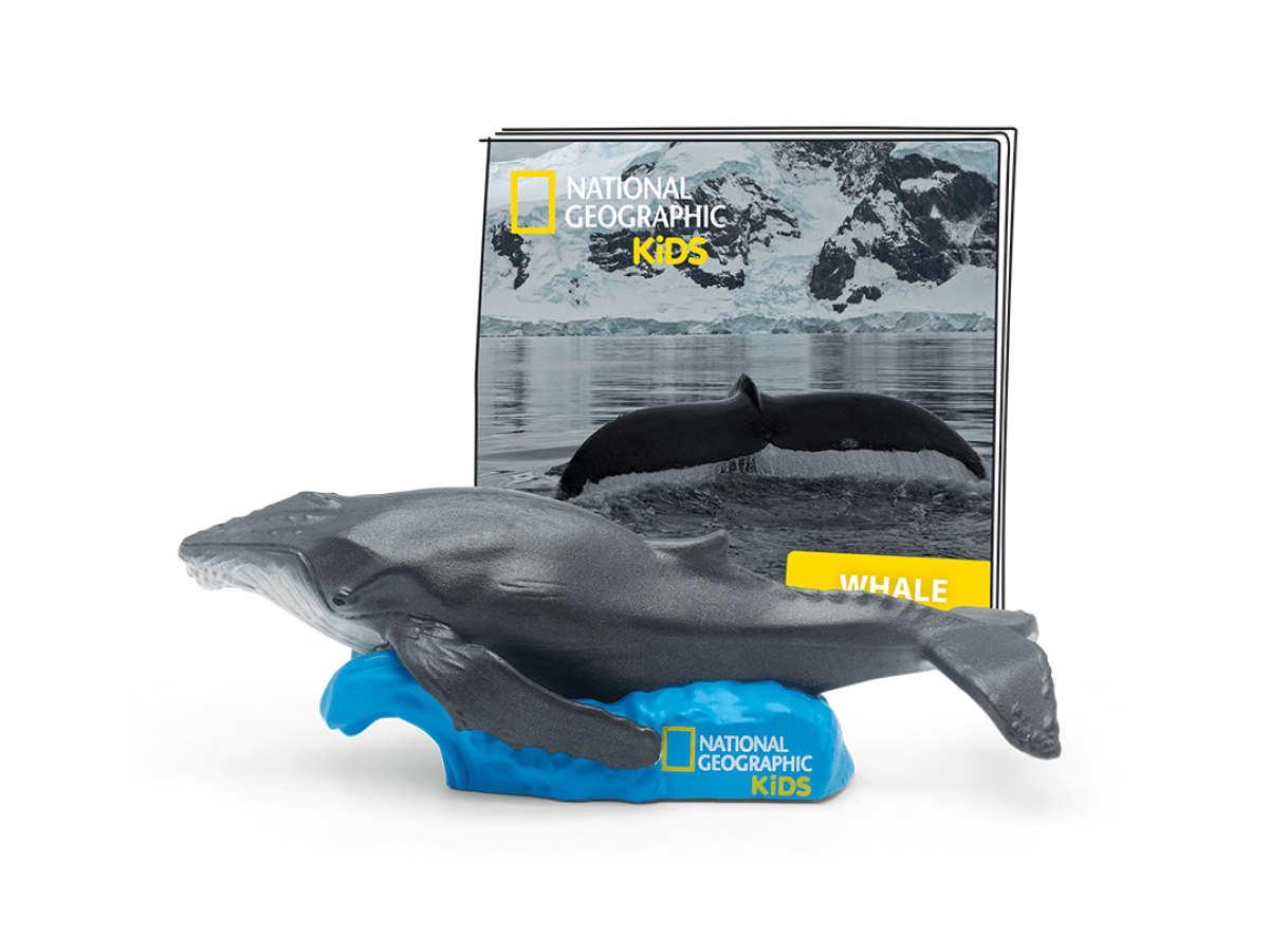 National Geographic Kids: Whale Tonie